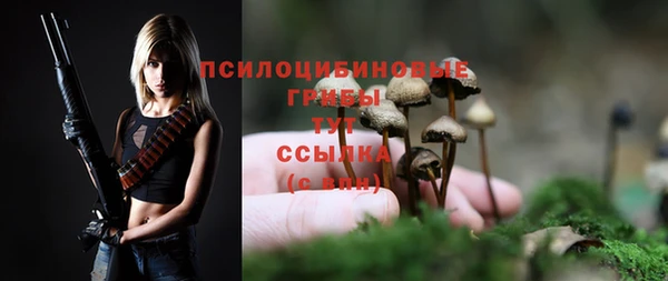 марки lsd Краснотурьинск