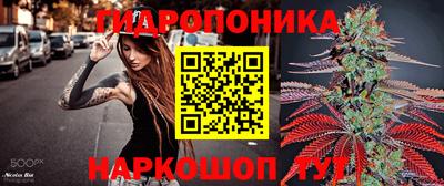 крисы Пугачёв