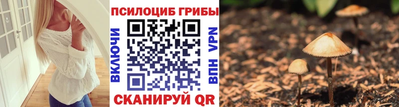 купить цена Якутск Псилоцибиновые грибы мухоморы