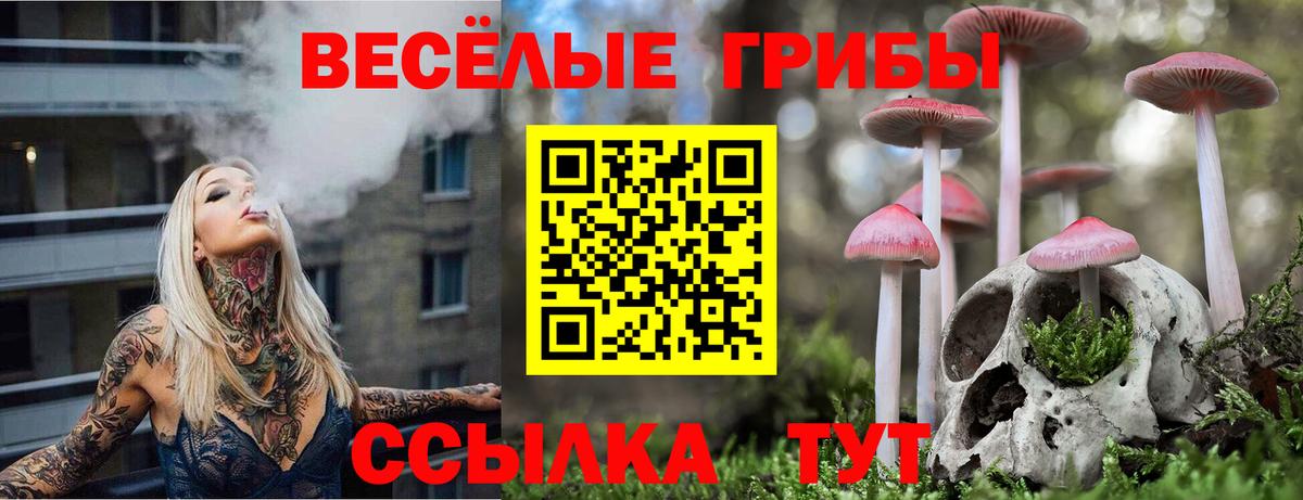 Псилоцибиновые грибы ЛСД  Галлюциногенные грибы ЛСД  Якутск  Вход с VPN 