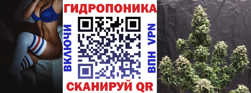 Канабис White Widow  наркота  Якутск 
